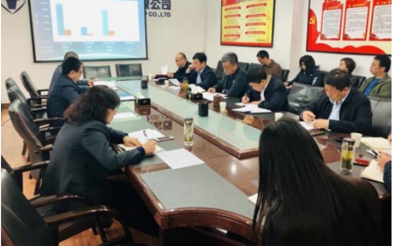 集团召开一季度经济运行分析会